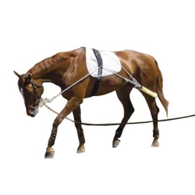 Capriole Training Aid