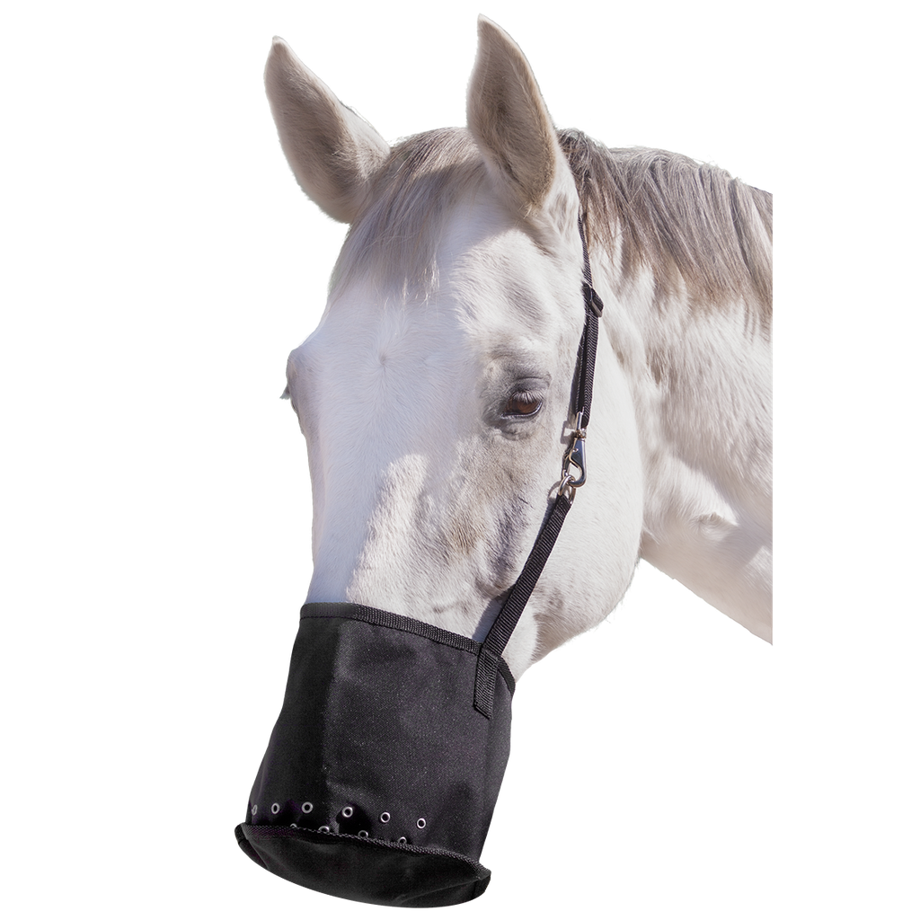 Capriole Canvas Feed Bag