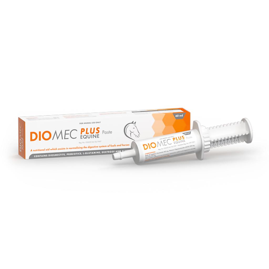 Diomec Plus Equine Paste
