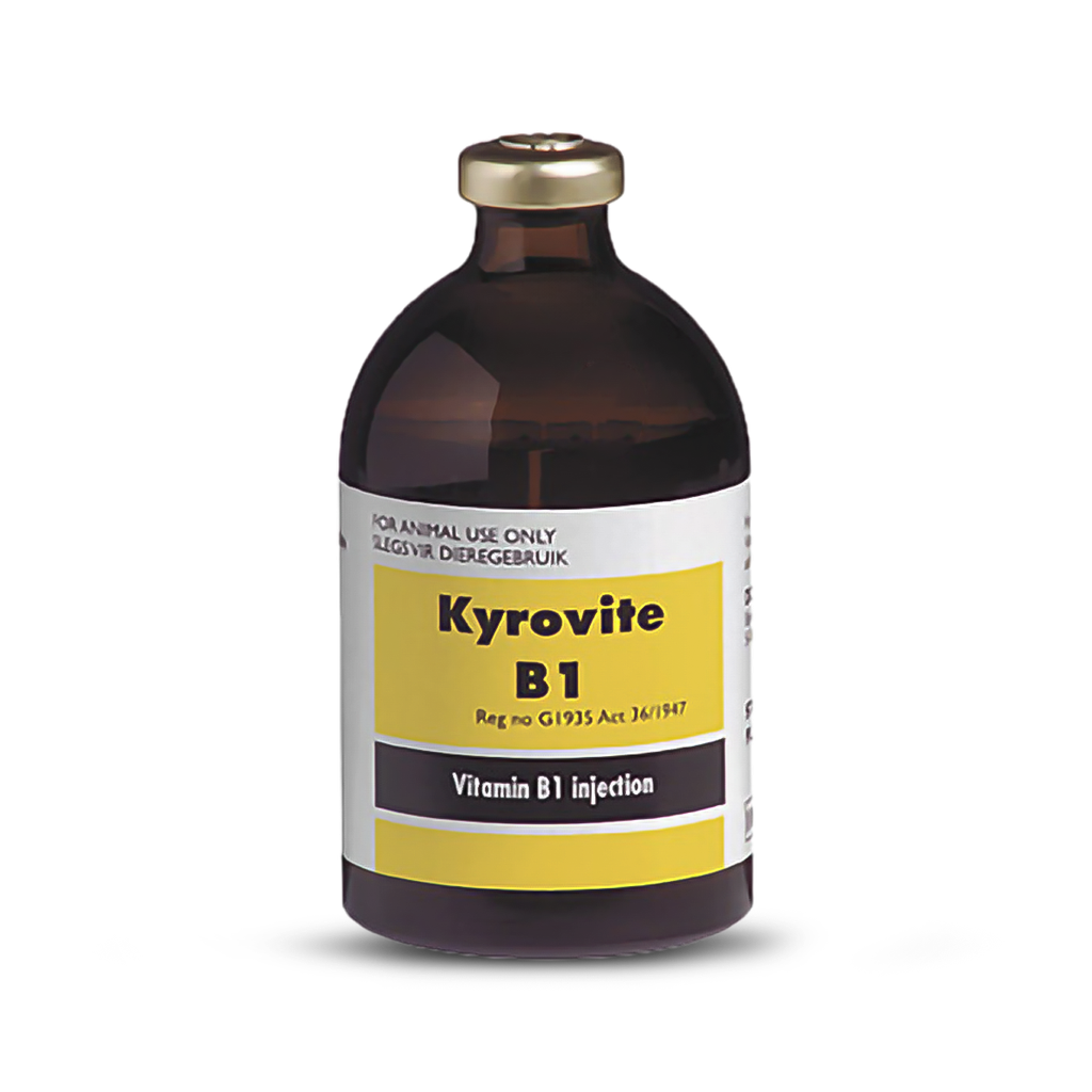 Kyrovite B1 Injectable