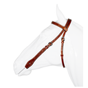Western Bridle