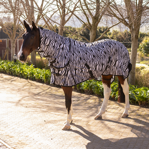 Fly Sheet Combo with Zebra Print