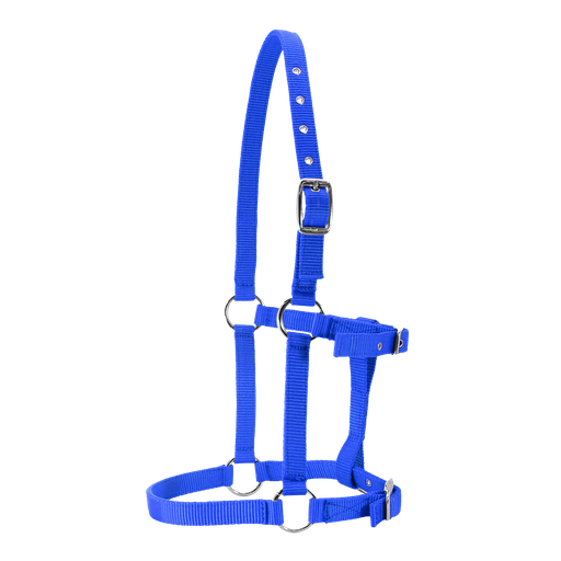 Equistyle Foal Halter