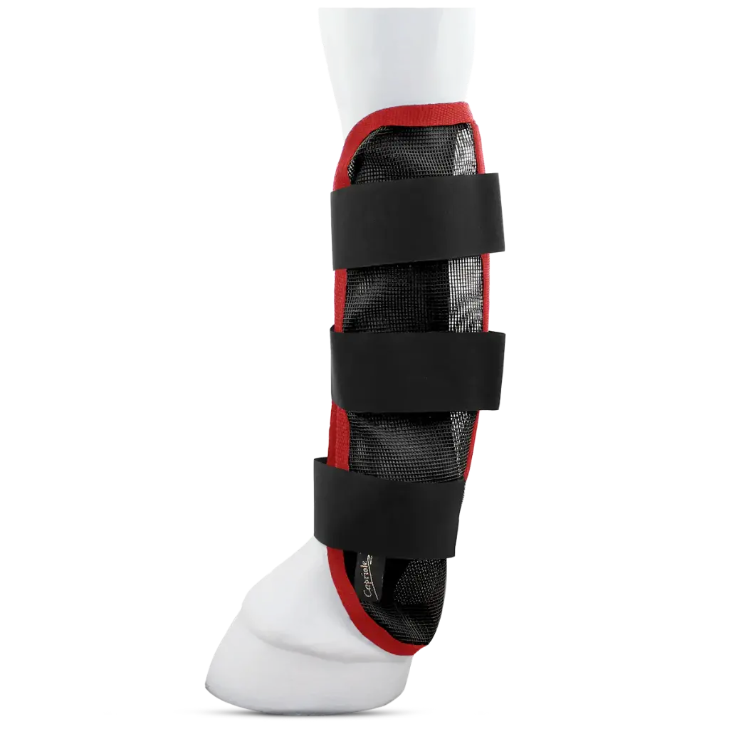 Capriole Mesh Fly Boots