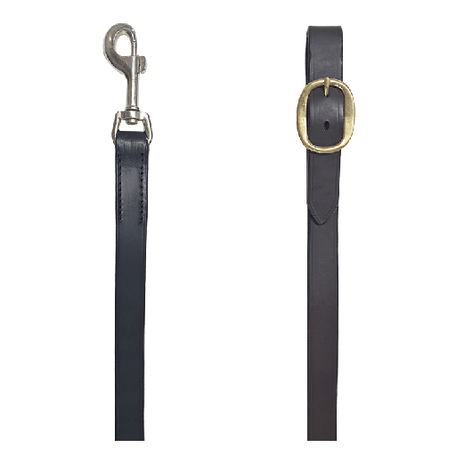 Capriole Stallion Lead