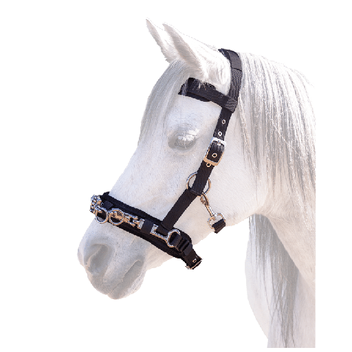 Lunging Cavesson, Padded