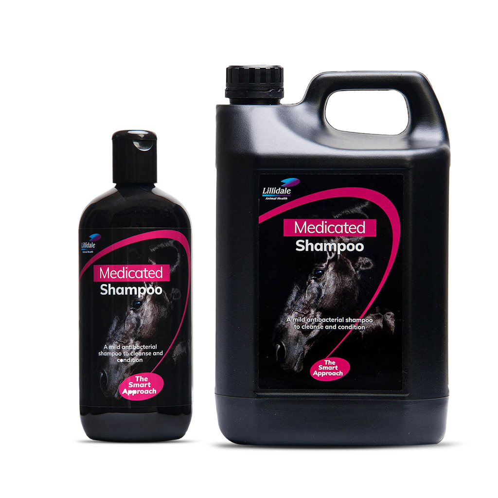 Lillidale Medicated Shampoo Tack Shack