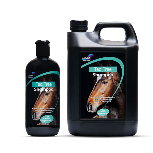 Lillidale Tea Tree Shampoo