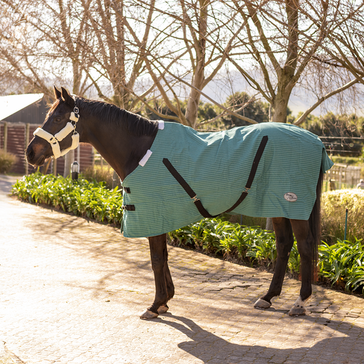 Storm Buster Canvas Stable Blanket