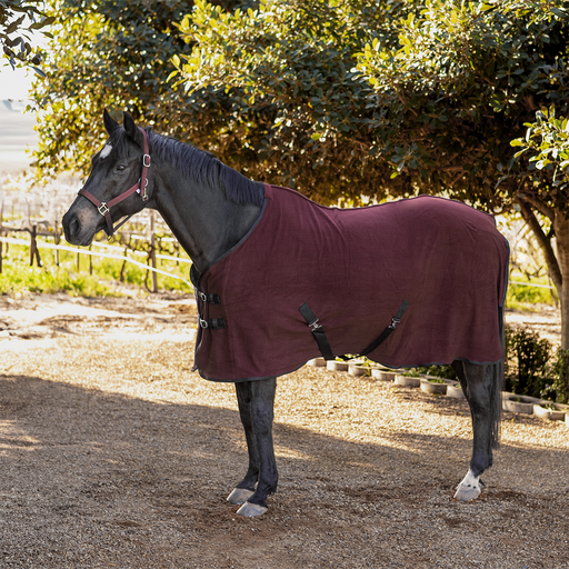 Buster Polar Fleece Blanket