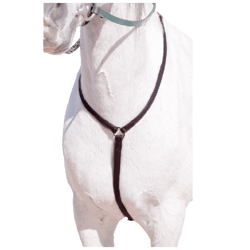 Capriole Y Type Breastplate