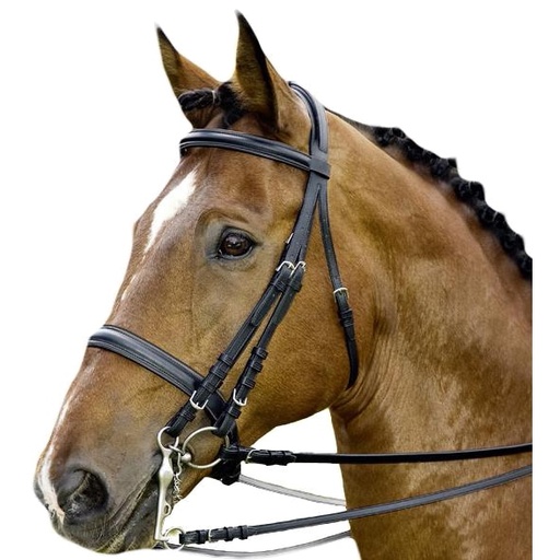 DT Bridle Weymouth Leather 