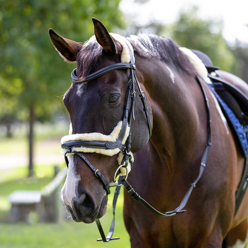 Capriole Bridle Ivy Fur 