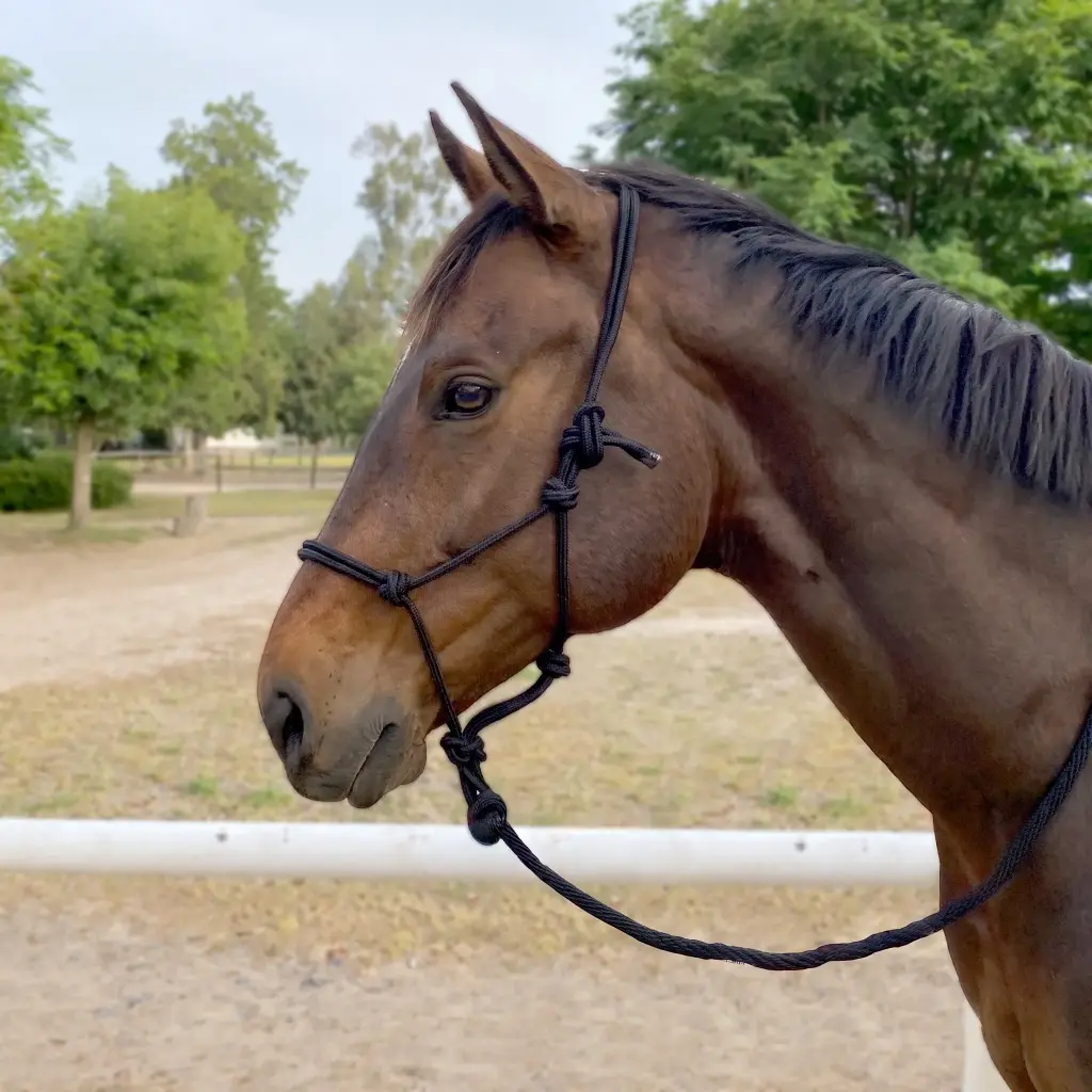 EquiStyle Knotted Rope Halter 8mm with Lead | Tack Shack