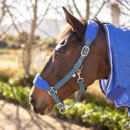 Equistyle Fleece Halter with Lead
