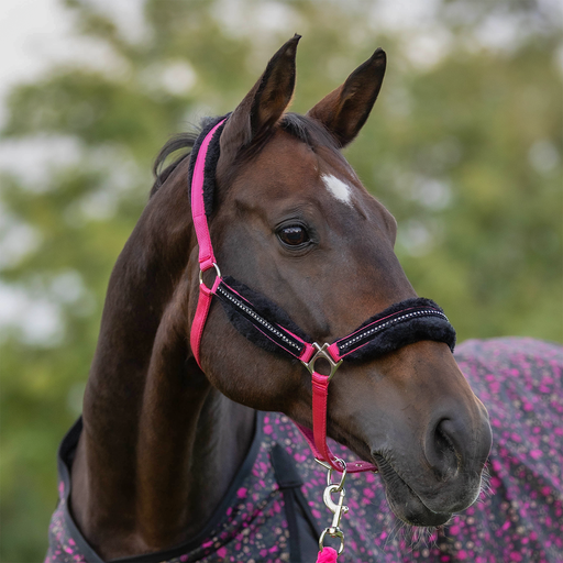 EquiStyle Stellar Halter with Lead