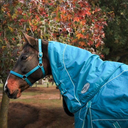 Storm Buster Rain Sheet Neck