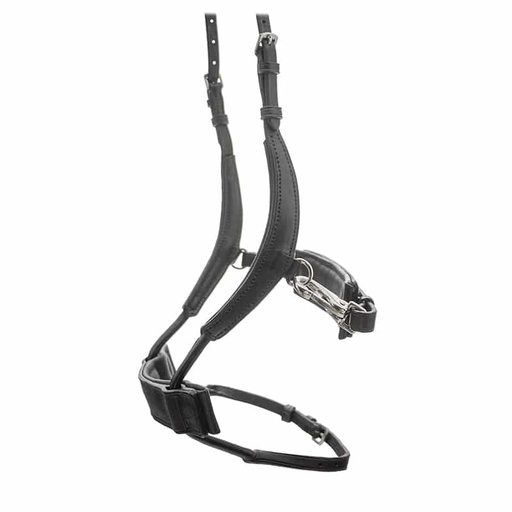 Capriole High Jump Noseband