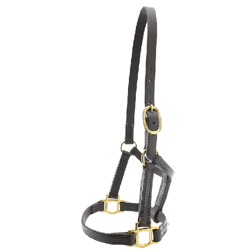 Capriole Leather Foal Halter