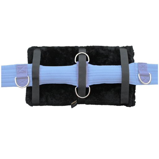 Lunging Roller Pad