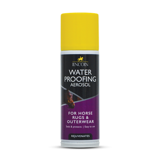 Lincoln Water Proofing Aerosol