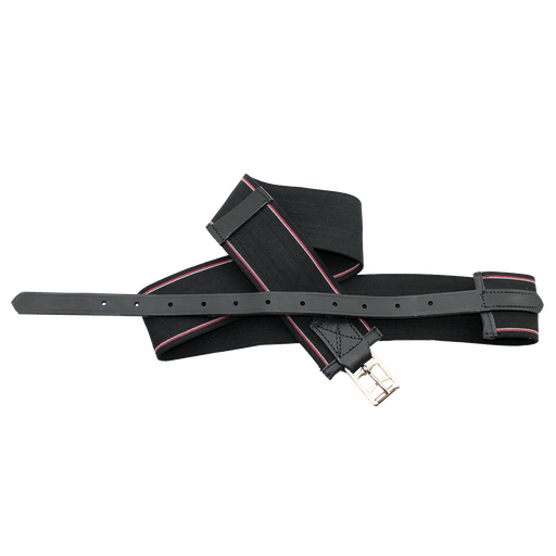 Capriole Elastic Surcingle