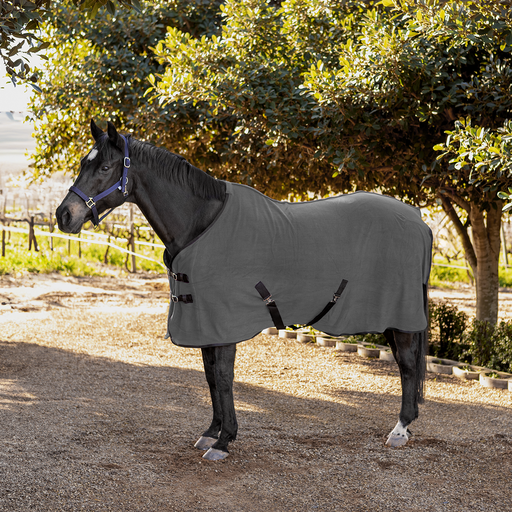 Buster Polar Fleece Blanket Limited Edition