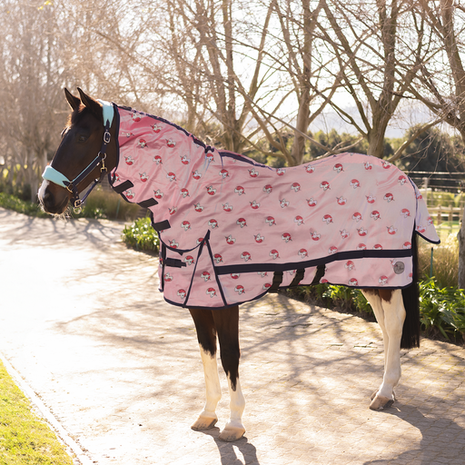 Fly Sheet Combo with Unicorn Print