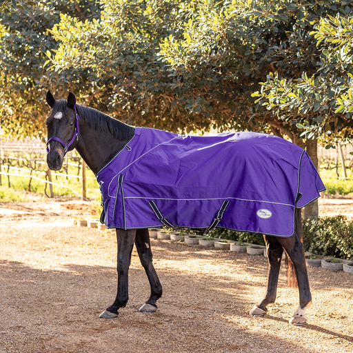Storm Buster Rain Sheet - Purple