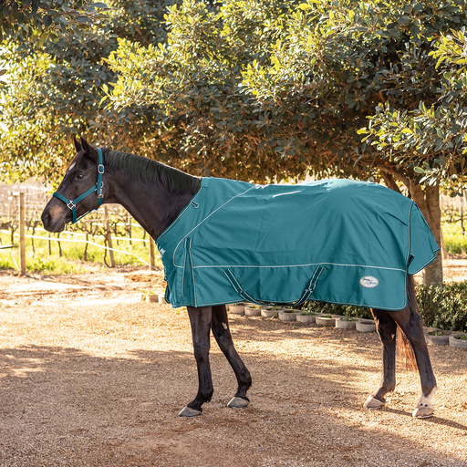 Storm Buster Rain Sheet - Turquoise