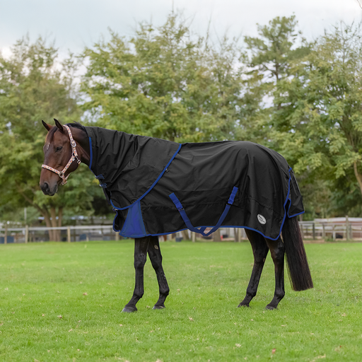 Rain Sheet & Neck Combo with Cotton Lining - Black/Royal