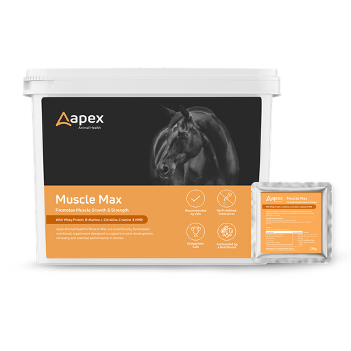 Apex Muscle Max